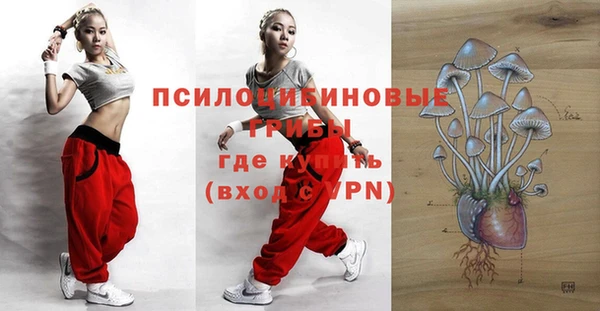 первитин Гусиноозёрск