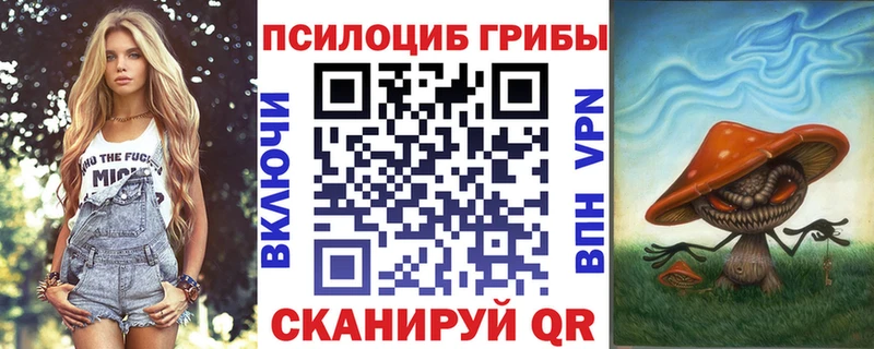 Псилоцибиновые грибы прущие грибы  купить   Армавир 